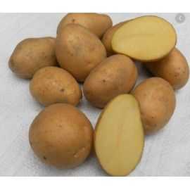 Ziemniaki Żółte 1kg