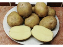 Ziemniak Polski Sifra Biało Kremowy Miąższ 1kg